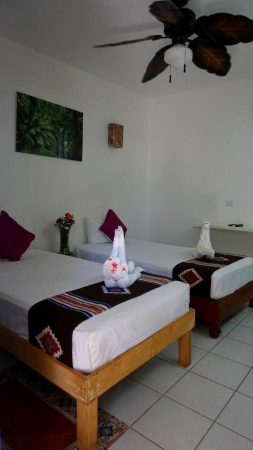 Selva Y Mar Apart Hotel Playa del Carmen Exterior photo